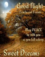 Good Night Wishes & Blessings syot layar 2