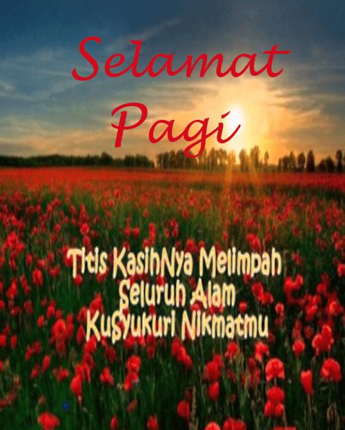 5000 Gambar Dan Foto Ucapan Selamat Pagi HD Paling Baru 5000 Gambar Dan Foto Ucapan Selamat Pagi HD Paling Baru