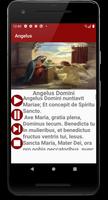 Poster Angelus