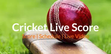 Cricket Live Score 2021