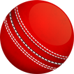 Cricket Live Score 2021