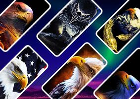 Eagle Wallpaper poster