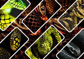 Snake Wallpaper скриншот 1