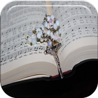 Catholic Hymns For Mass: Free Catholic Songs icône
