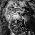 Thème de lion noir en colère icône