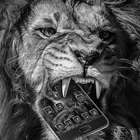 موضوع الغاضب الأسود الأسد أيقونة