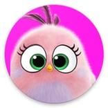 Angry Bird Quotes
