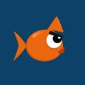 Angry Fish