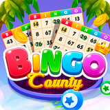 Bingo County icône