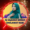 DJ Sajadah Merah Sholawat Nabi APK