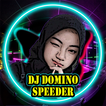 DJ Domino Speeder Viral
