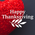 Thanksgiving Day Emoji Pro