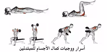 أسرار ووجبات كمال الأجسام للمب