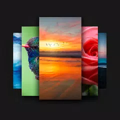 🎨Apex Wallpaper - HD Hintergründen&Touch-Effekte APK Herunterladen