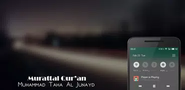 Muhammad Taha Al Junayd