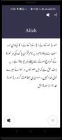 Urdu to English Dictionary capture d'écran 1