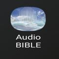 THE BIBLE