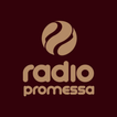 Rádio Promessa - Ipatinga - Mg icon
