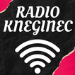 folk radio kneginec ícone