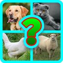 GHICEȘTE ANIMALUL DOMESTIC APK