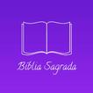 Bíblia Sagrada ไอคอน