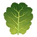 Ingredients APK