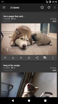 rif is fun 截图 3