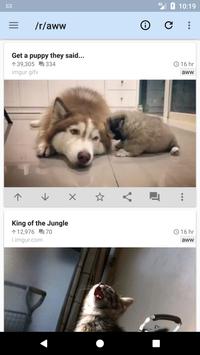 rif is fun 截图 2