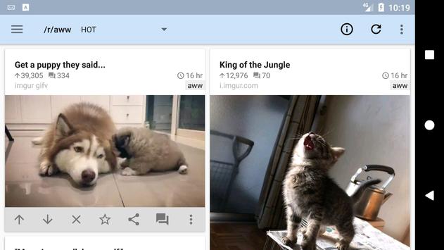 rif is fun 截图 4