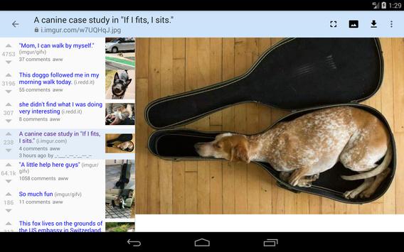rif is fun 截图 8