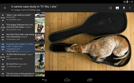 rif is fun 截图 9