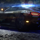 Speed Police Car Simulator USA Edition 图标