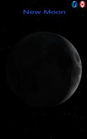 Moon Phases Plakat