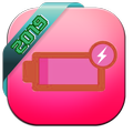 Fast charging 2019