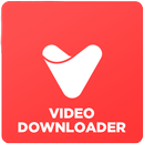 Video Downloader - Story Saver APK