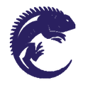 CayERP