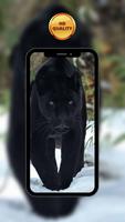 Panther Wallpapers पोस्टर