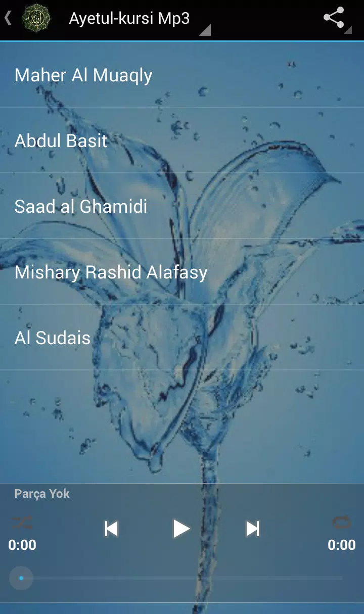 Ayatul Kursi MP3 for Android - APK Download