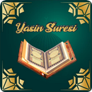 Yasin Suresi Pro (Sesli ve Tak APK