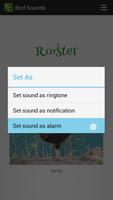 Bird Sounds screenshot 2