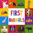 First Words for Baby: Animals APK