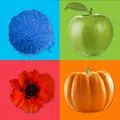 Learning Colors