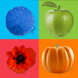 Learning Colors icono