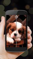 Puppy Zipper Lock Plakat