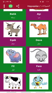 Screenshot 6 for الشامل في تعلم اللغة التركية