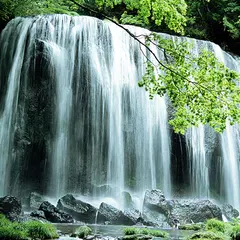 Wasserfall Live-Hintergrund
