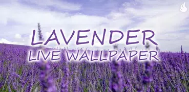 Lavender Live Wallpaper