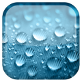 Raining Day Live Wallpaper