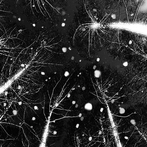 Neve scuro sfondi animati