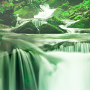 Wallpapers Nature APK